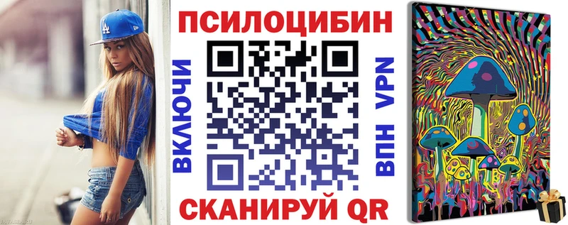 закладка  Усть-Илимск  Псилоцибиновые грибы Psilocybine cubensis 